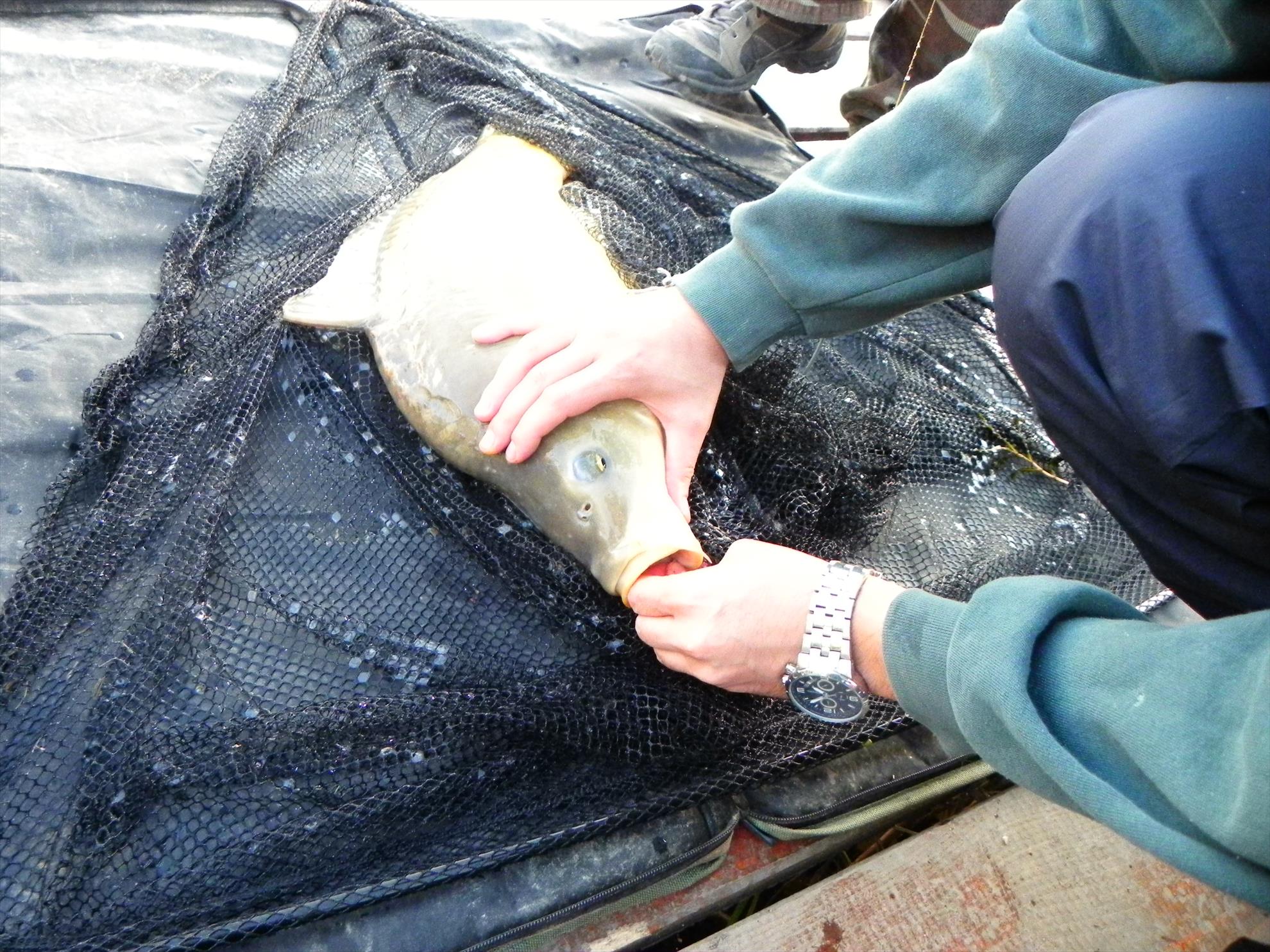 Pleasa 04-11-2012 - dscn3406.JPG